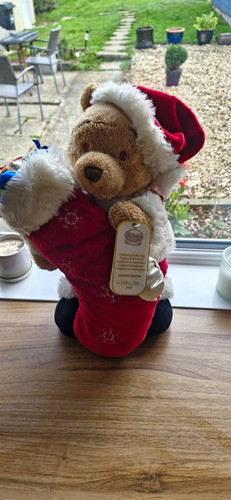 Limited edition santa winnie - limited,
