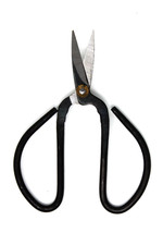 Traditional style Bonsai