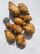 4oz  Tennessee Organic