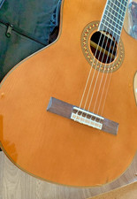 Tanglewood, EMDC5 Solid Top