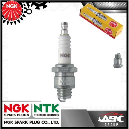 New ngk spark plug for - spark,