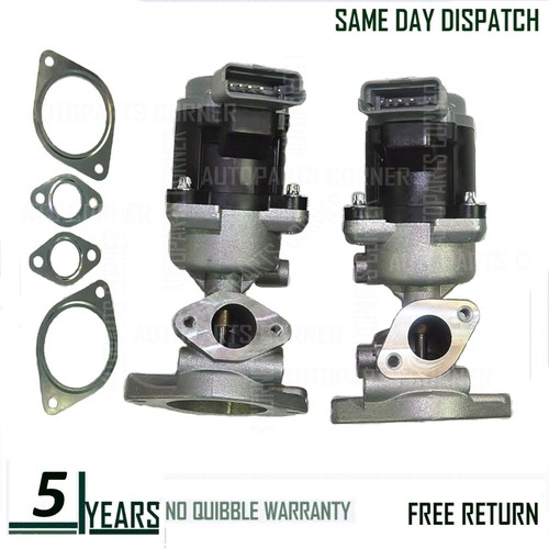 Pair egr valve - of,