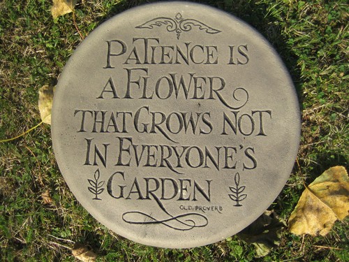 Garden stepping stones - stepping,