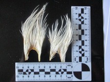 whitings and metz midge cream