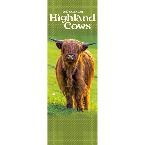Highland cows slim - highland, calendar