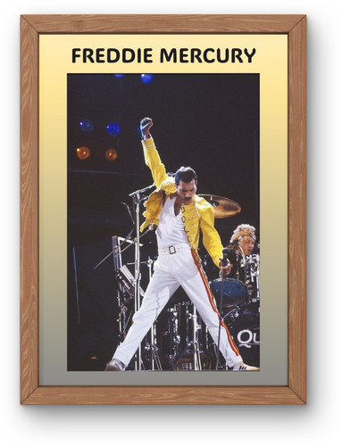 Freddie mercury wall - freddie, art