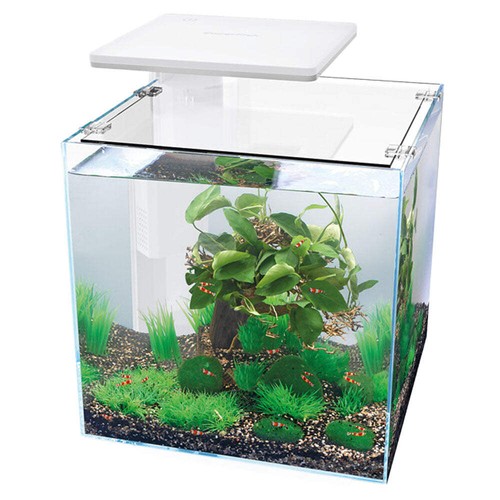 Superfish qubiq pro led - superfish,