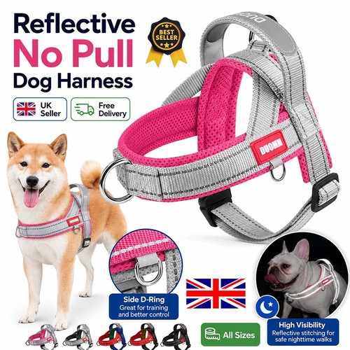 Reflective pull dog harness - no,