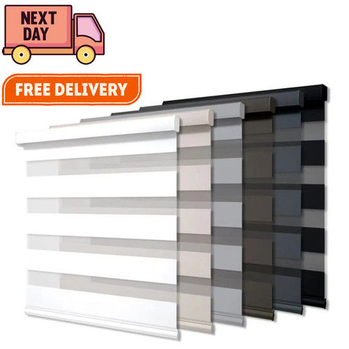 Day and night zebra window - night,
