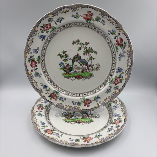 Vintage copeland spode - 2, x