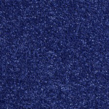 Colour Sparkly Shimmer Glitter