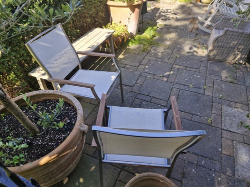 Neptune montpellier garden - ,