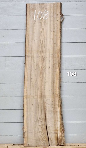 Elm live edge - timber, x