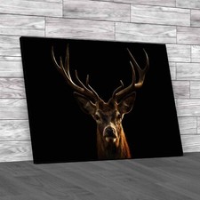 The Deer Head Stag Buck Canvas Print Large Picture Wall Art