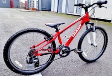Giant XTC Junior Mountain Bike