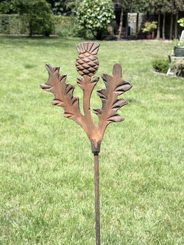 Metal scottish thistle garden - metal,