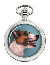 Jack Russell Terrier Pocket