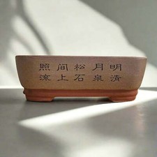 33cm Premium Unglazed Bonsai