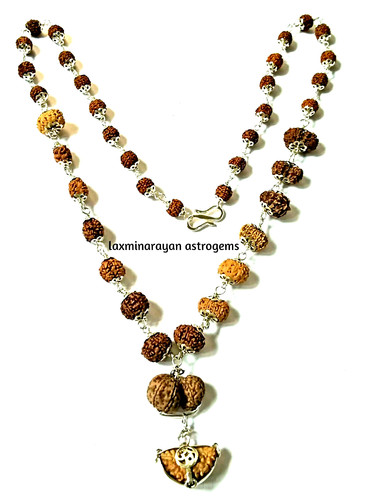 Rudraksha siddha mala 14 - rudraksha,