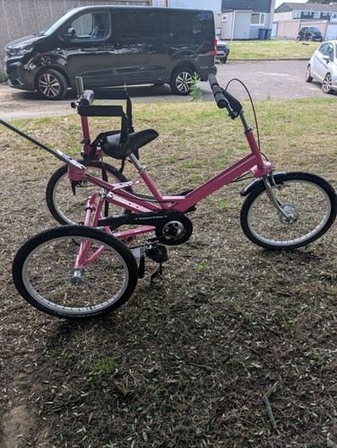 Tomcat t20 pink adult tricycle - adult,