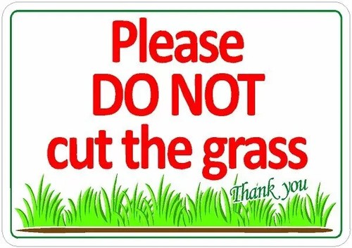Please not cut the grass - please,