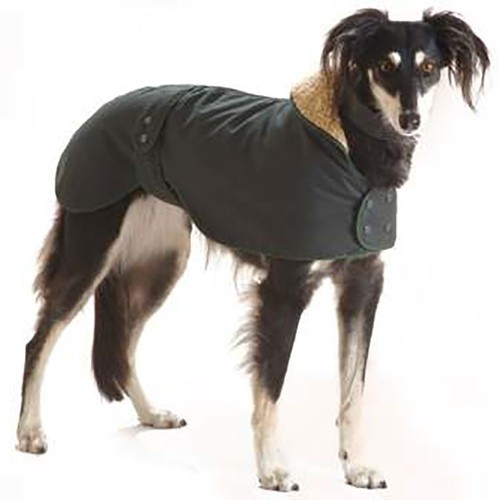 Water windproof greyhound - &,