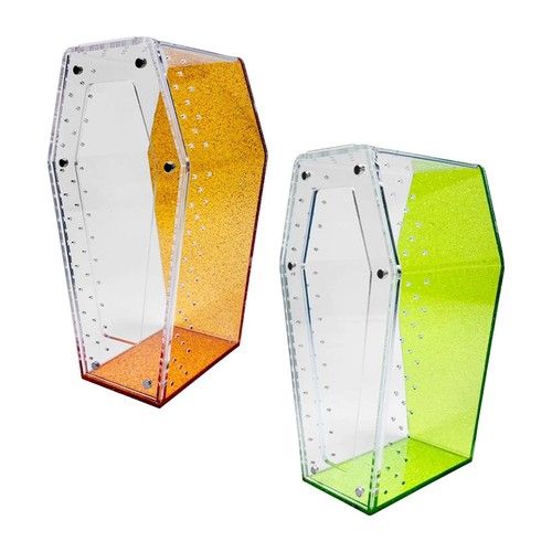 Coffin shaped jumping spider - coffin,