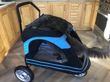 Pet Stroller 