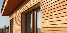 NEW PROFILE Siberian Larch