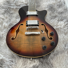 12 String Electric Guitar