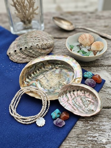 Vintage large gorgeous abalone - vintage,