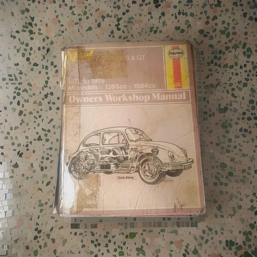 Haynes beetle 1303 1303s - beetle,