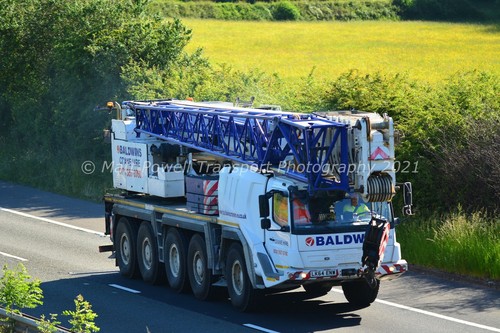 Crane photo 12x8 grove - crane,