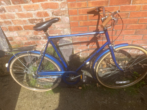 Raleigh traveller blue - raleigh, city