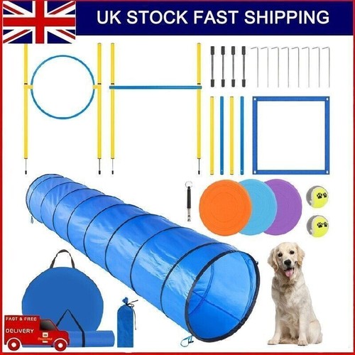 300cm dog agility - dog,