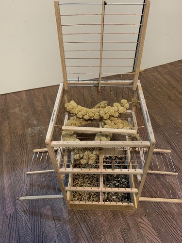 Bird cage aviary trap - bird,