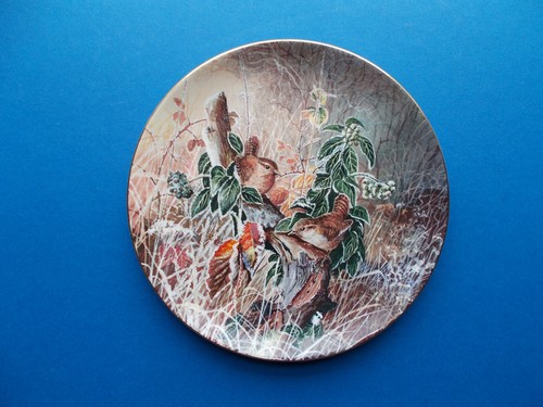 Coalport collector plate - plate,
