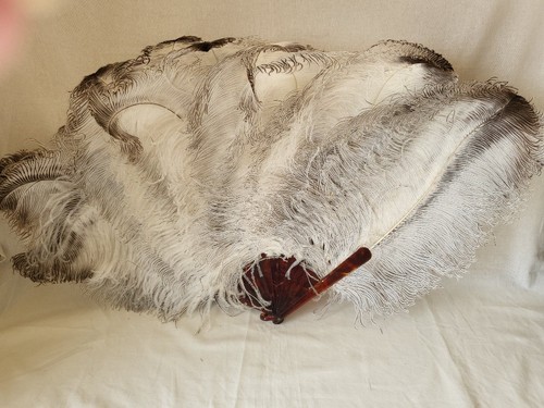Beautiful large pale cream - ,