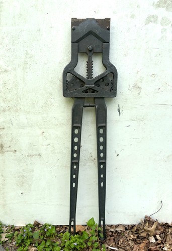 Vtg antique dehorning - vtg, cattle
