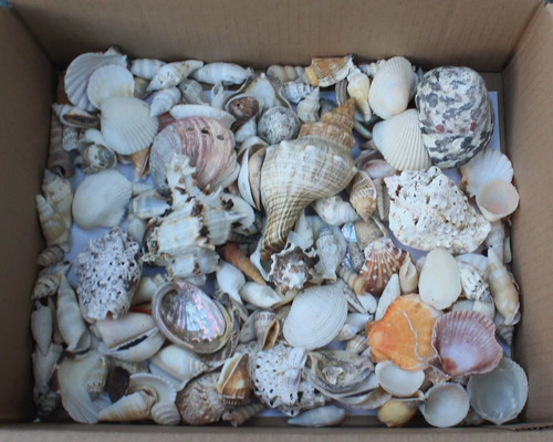 1kg mixed sizes - mixed, grades