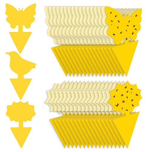 30pcs fruit fly - 30pcs,