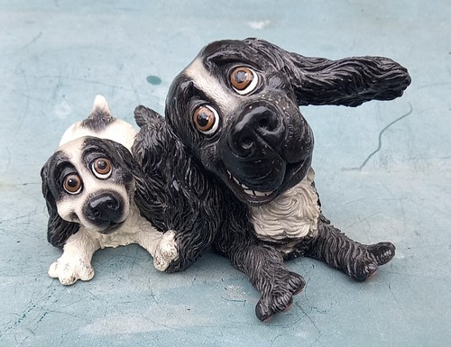 Pets with personality - pets,