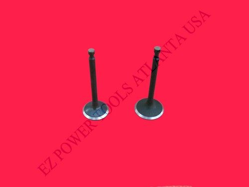 Intake exhaust valve - intake, set