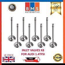 AUDI VW CAXA INLET VALVES SET