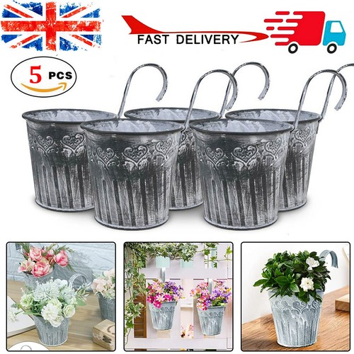 5pcs garden plant - garden, herb