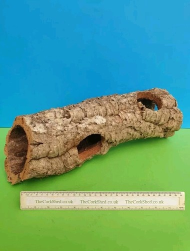 Cork bark hamster - hamster, nest
