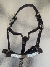 Dark leather  With Silver Miniature Horse show  halter with lead