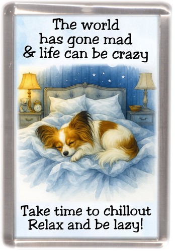 Papillon butterfly dog fridge - papillon,