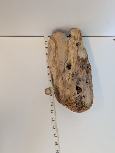 Small chunky driftwood - #22.,