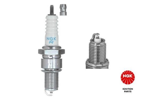 Spark plug ngk - ngk, fits